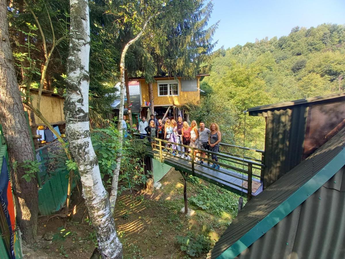 דירות ויסוקו Tree House מראה חיצוני תמונה