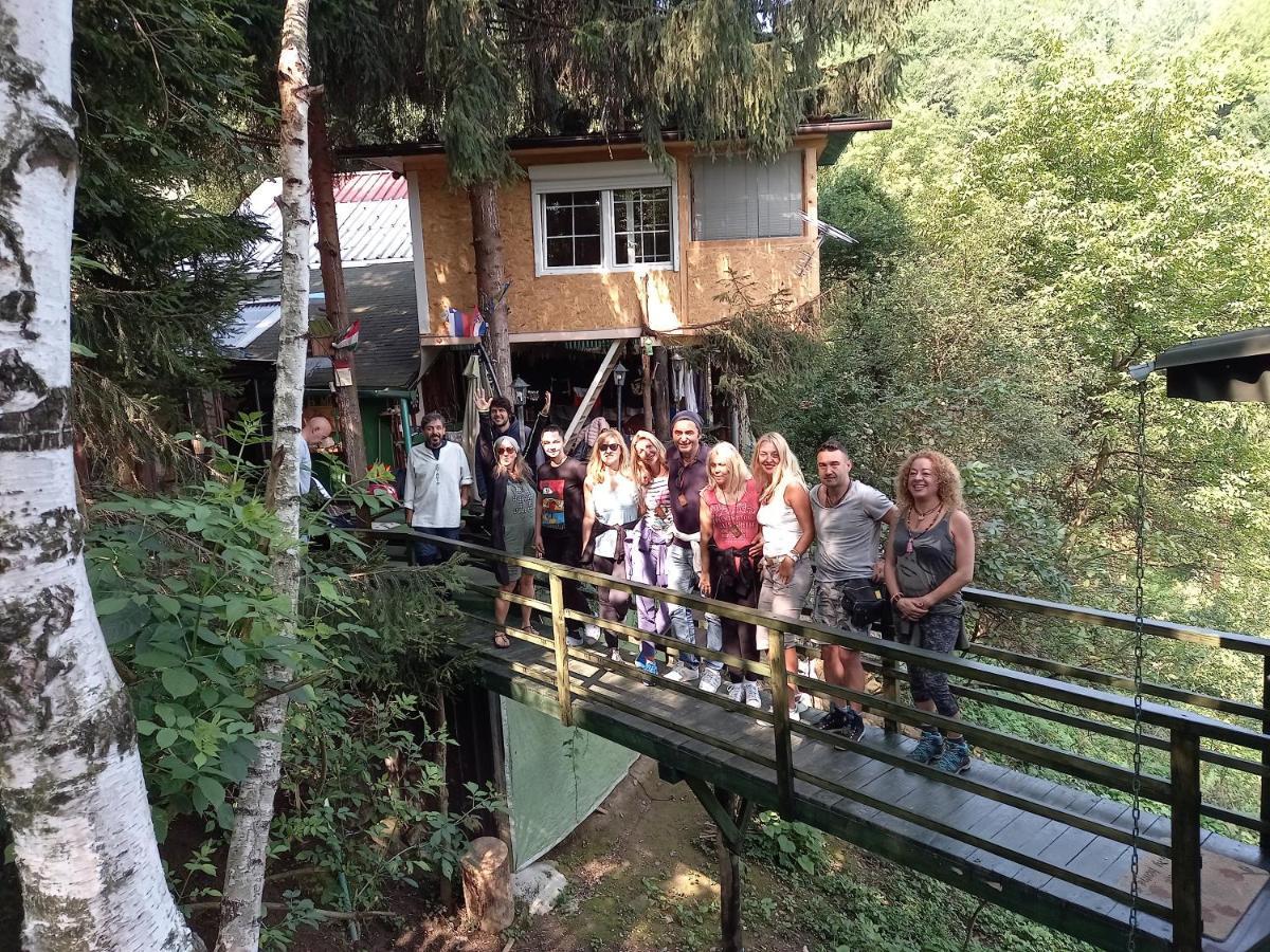 דירות ויסוקו Tree House מראה חיצוני תמונה