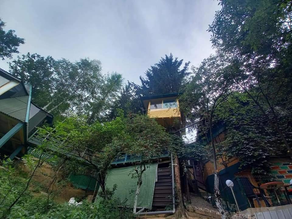 דירות ויסוקו Tree House מראה חיצוני תמונה